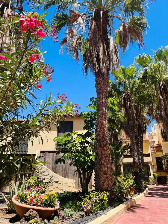 Surf & Chill Bungalow 69, Quiet Green Oasis With Community Swimmingpool Parque Holandes Exterior photo